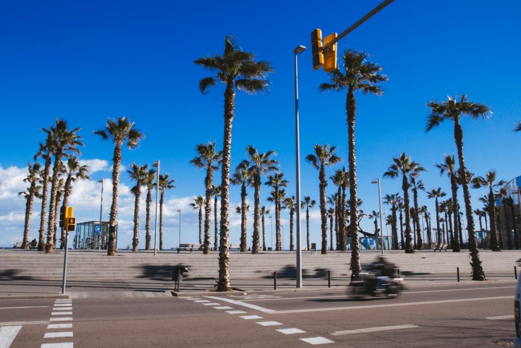 letna fotka Barcelony palmy nebo motorkar