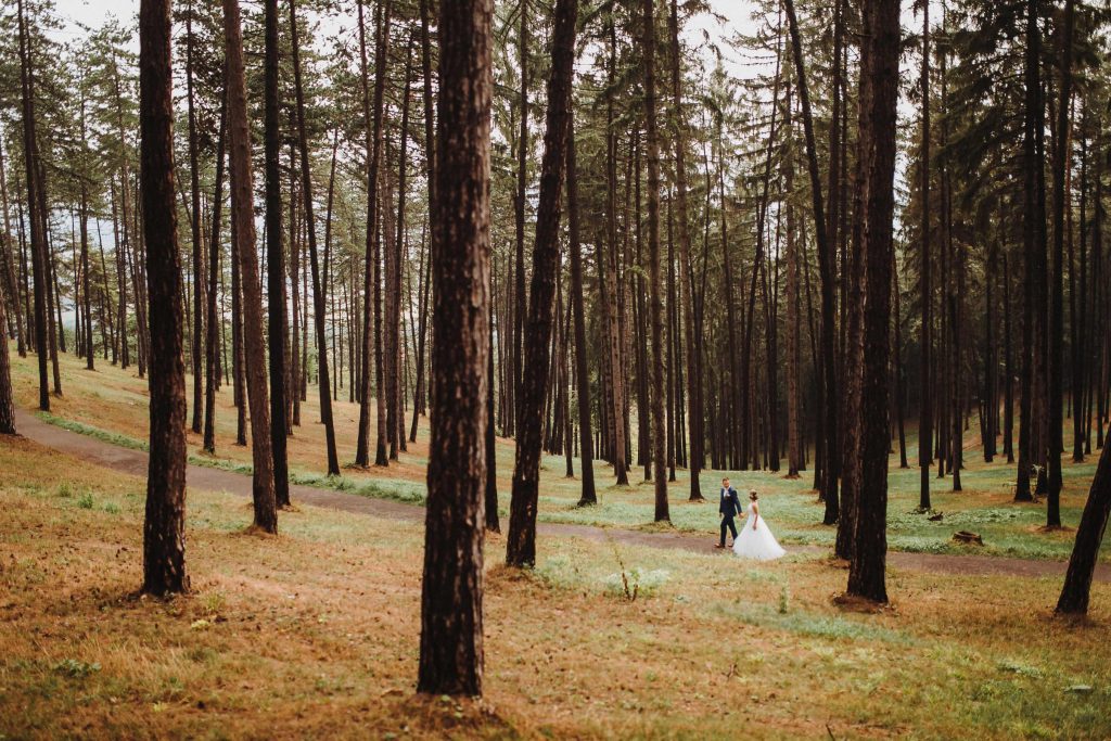 fotografia svadobneho paru prechadzajuceho sa po lese svadba bojnice svadobny fotograf
